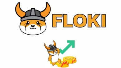 FLOKI