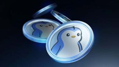 بعد ارتفاعها بنسبة مذهلة: هل تواجه عملة PENGU انخفاضا قريبا؟