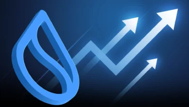 تزامنا مع ارتفاع معدل التمويل وأصول DeFi: هل تحقق Sui ارتفاعا؟