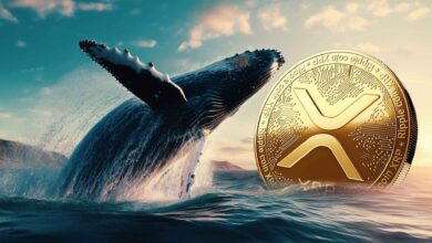 ارتفاع عدد محافظ حيتان ريبل إلى أكثر من 300 ألف: هل هناك اختراق لسعر العملة في الأفق؟
