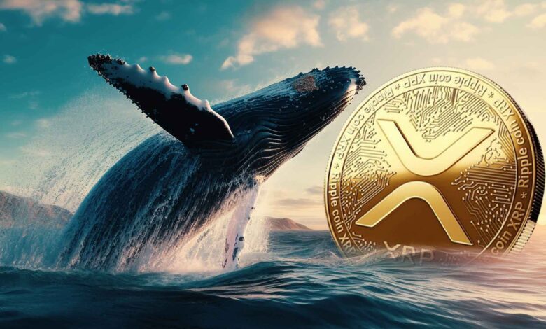 ارتفاع عدد محافظ حيتان ريبل إلى أكثر من 300 ألف: هل هناك اختراق لسعر العملة في الأفق؟
